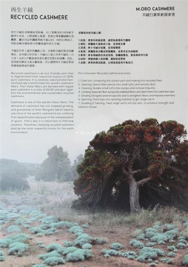 COLLECTION(品牌羊絨)