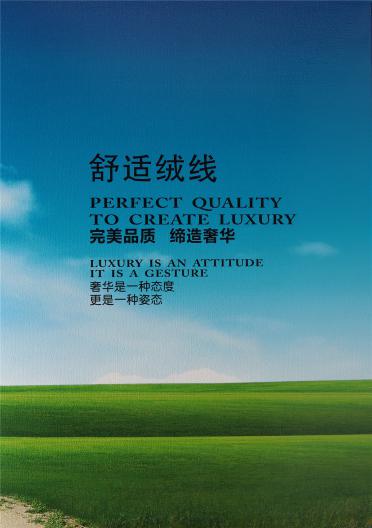 2/36S精品陽光絨