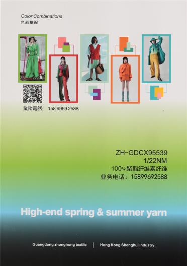 1/22NM ZH-GDCX95539（春夏紗線）