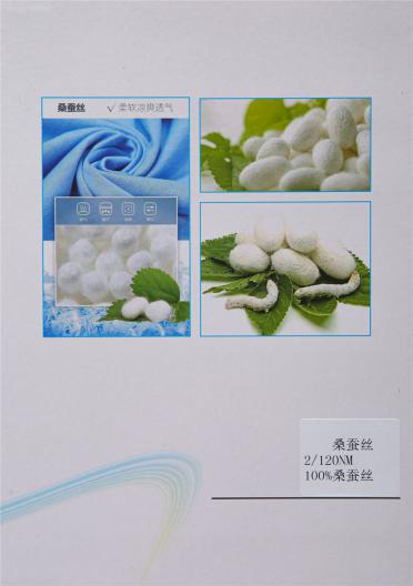 2/120NM 桑蠶絲