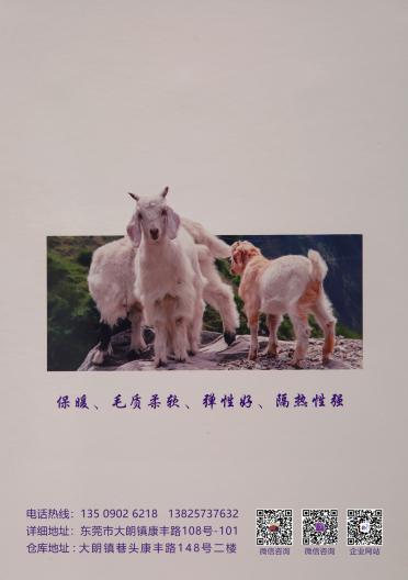 50NM/2 精紡羊毛混紡