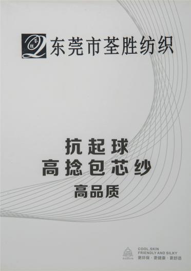 50NM/2抗起球高捻包芯紗