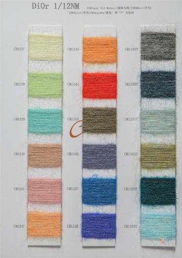 1/12NM Dior