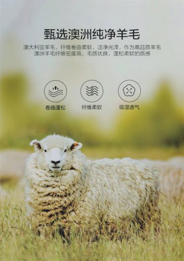 2/26NM 90%羊毛 10%山羊絨