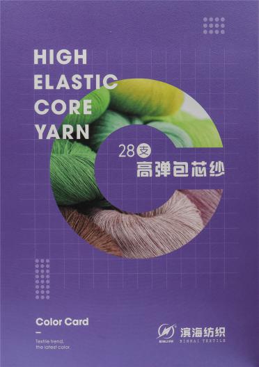 28S/2高彈包芯紗