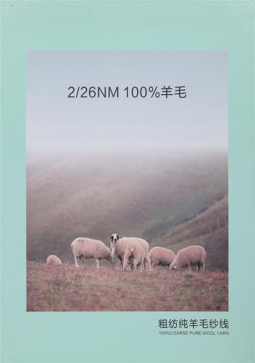 2/26NM 100%羊毛