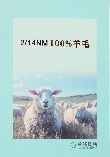 2/14NM 100%羊毛
