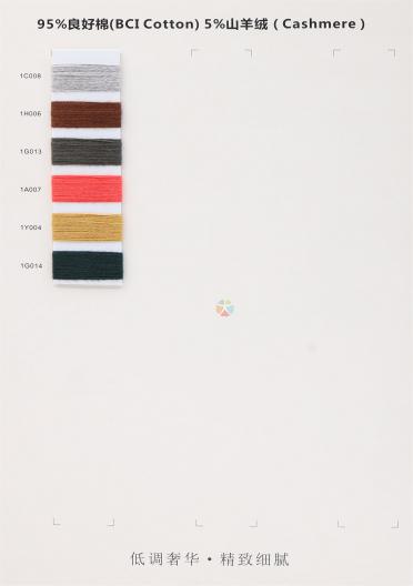 28NM/2 48NM/2 95BCI Cotton 5Cashmere