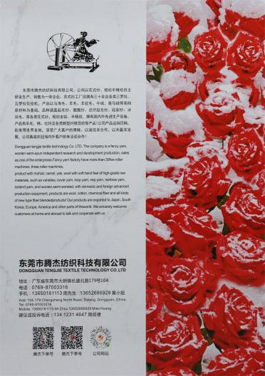 2/48NM 色紡德絨羊毛