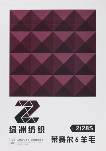 2/28S 萊賽爾6羊毛