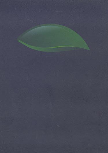 24NM流金紗