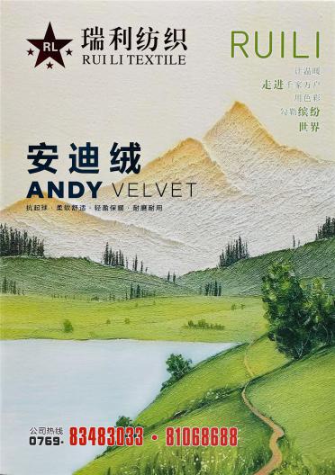安迪絨