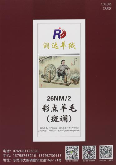 26NM/2 彩點羊毛(斑斕)