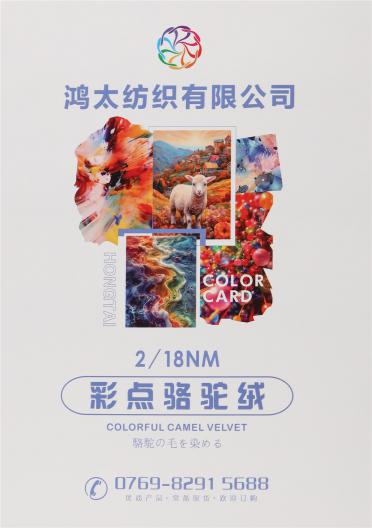 2/18NM 彩點(diǎn)駱駝絨