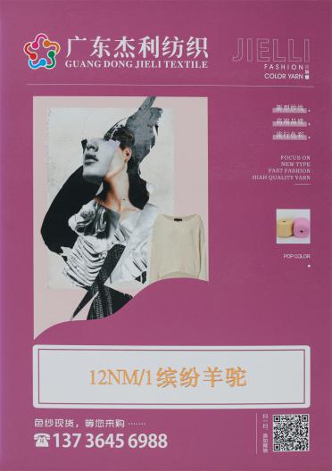 12NM/1 繽紛羊駝