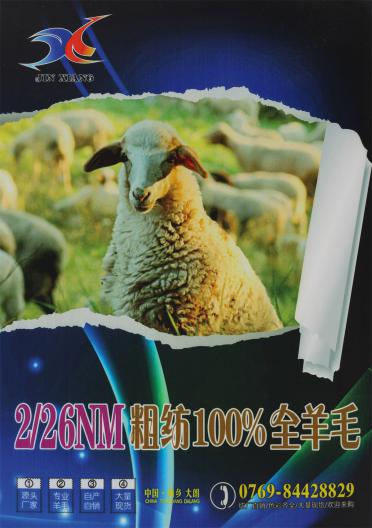 2/26NM 粗紡100%全羊毛