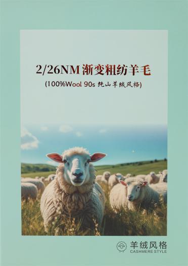 2/26NM 漸變粗紡羊毛