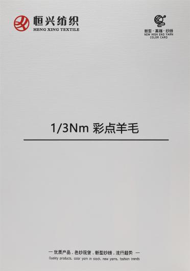 1/3Nm 彩點(diǎn)羊毛
