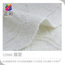 12NM 耀星