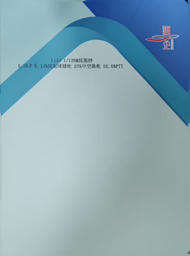 13) 1/13NM 浣熊紗