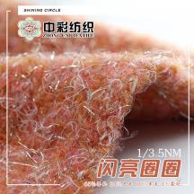 1/3.5NM 閃亮圈圈