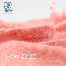 1/13NM 臻馬海