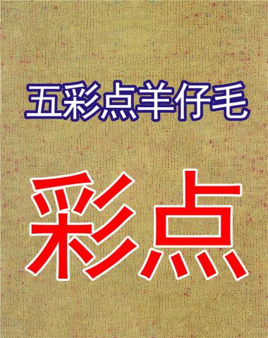 1/16五彩點羊仔毛