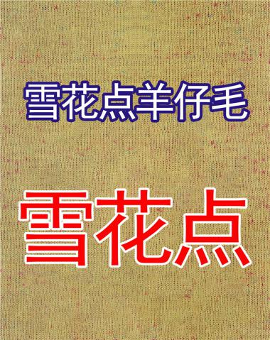 1/8雪花點羊仔毛