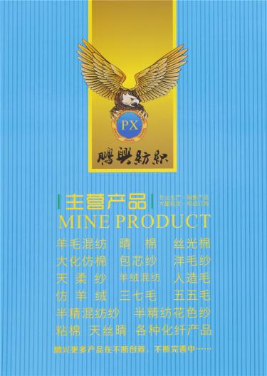 2/60NM巴素蘭五五抗起球