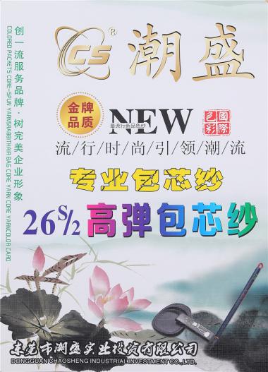 26S/2 高彈包芯紗