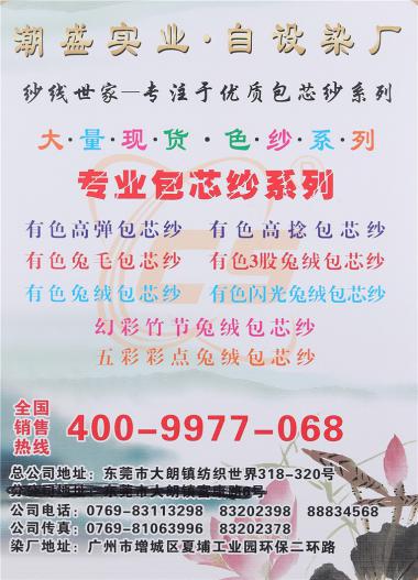 26S/2 高彈包芯紗