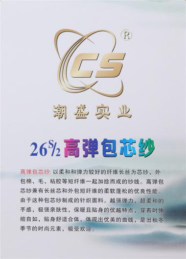26S/2 高彈包芯紗