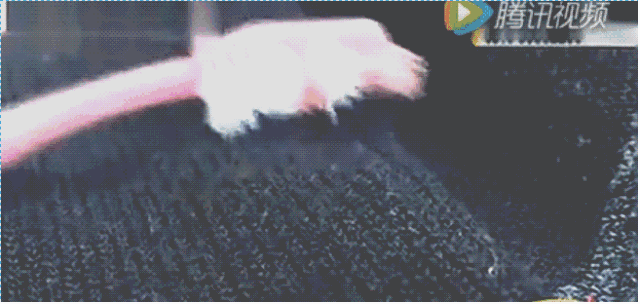 http://www.gtlshelf.com/upload/202109070927580644.gif