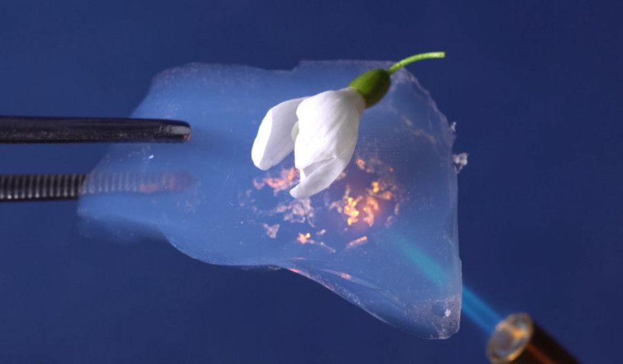 http://www.gtlshelf.com/upload/202203081022039891.png