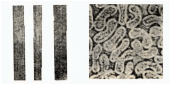 http://www.gtlshelf.com/upload/202203100947994428.png