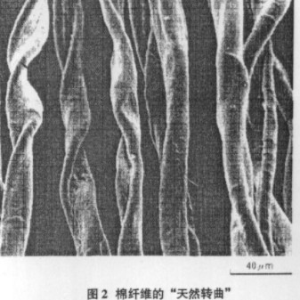 http://www.gtlshelf.com/upload/202204251007881193.png