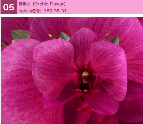 http://www.gtlshelf.com/upload/202206090940638737.png