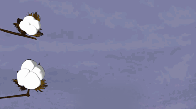 http://www.gtlshelf.com/upload/202210141006020715.gif