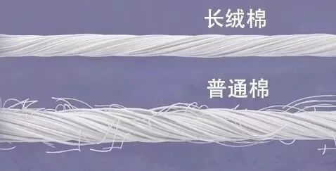 http://www.gtlshelf.com/upload/202210141006291308.jpg