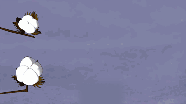 http://www.gtlshelf.com/upload/202210141006460698.gif