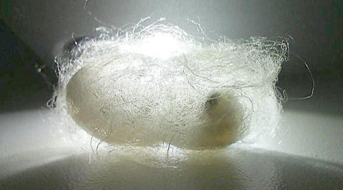 http://www.gtlshelf.com/upload/202211091005241759.png