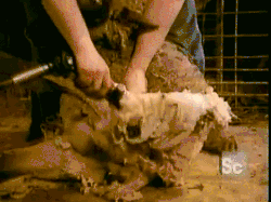 http://www.gtlshelf.com/upload/202212101131103239.gif